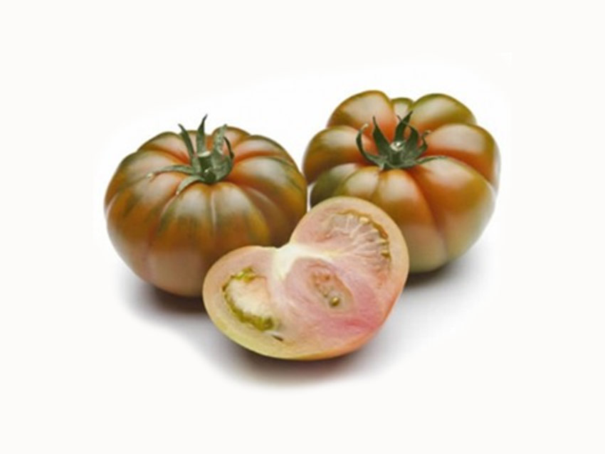 PGI COSTOLUTO TOMATOES